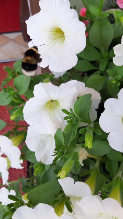 Landhaus Degen Bischofswiesen Buitenkant foto
